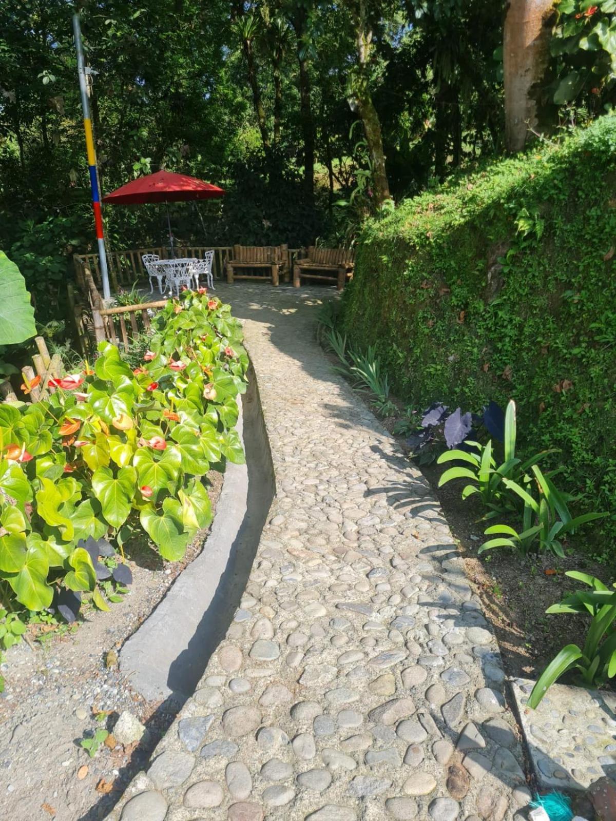 Cabanas Filadelfia Санта-Роса-де-Кабаль Екстер'єр фото